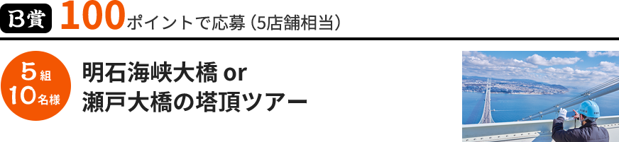 B賞 明石海峡大橋 or 瀬戸大橋の塔頂ツアー