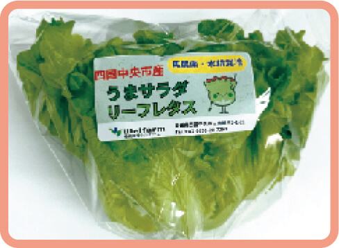 ウェルファーム